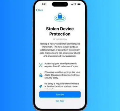 汝阳苹果授权维修店分享被盗设备保护功能开启方法 