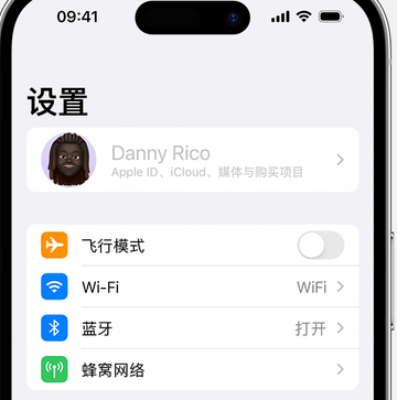 汝阳appleID维修服务iPhone设置中Apple ID显示为灰色无法使用 