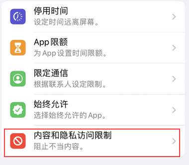 汝阳appleID维修服务iPhone设置中Apple ID显示为灰色无法使用