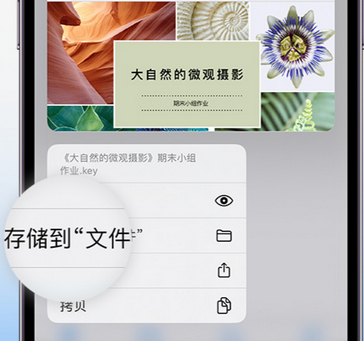 汝阳apple维修中心分享iPhone文件应用中存储和找到下载文件