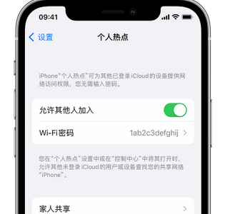 汝阳apple服务站点分享iPhone上个人热点丢失了怎么办