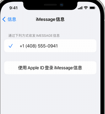 汝阳apple维修iPhone上无法正常发送iMessage信息 