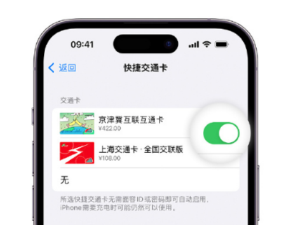 汝阳apple维修点分享iPhone上更换Apple Pay快捷交通卡手绘卡面 