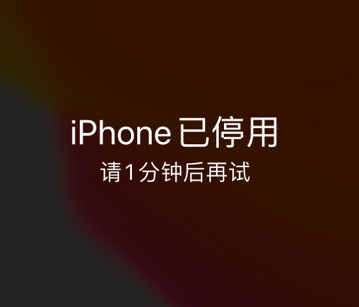 汝阳苹果手机维修分享:iPhone 显示“不可用”或“已停用”怎么办？还能保留数据吗？ 