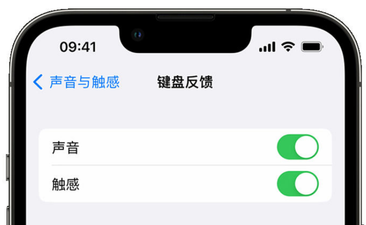 汝阳苹果手机维修分享iPhone 14触感键盘使用方法 