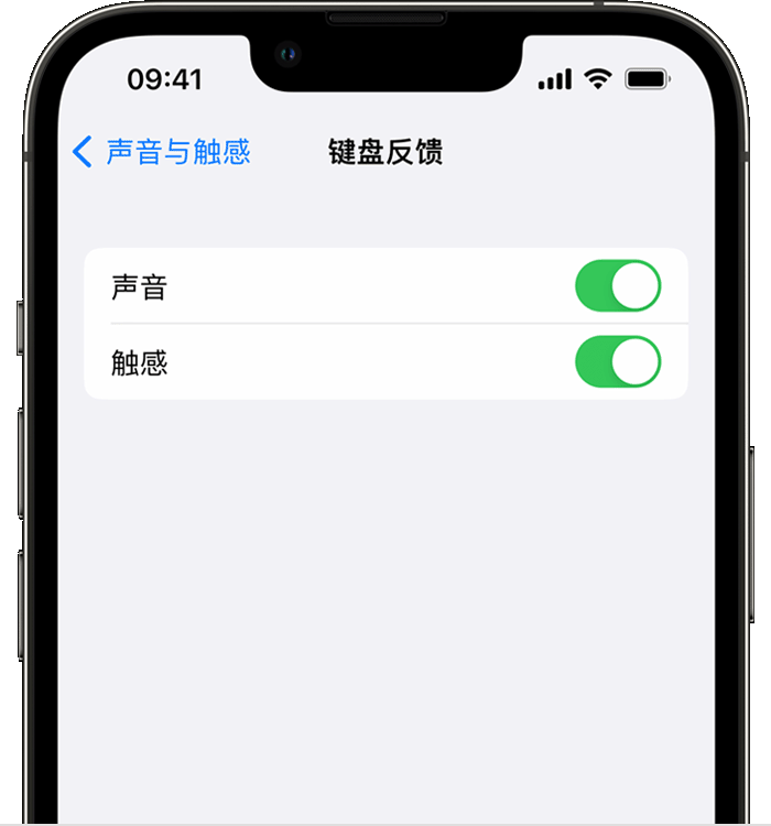 汝阳苹果14维修店分享如何在 iPhone 14 机型中使用触感键盘 