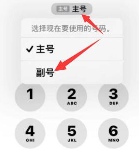 汝阳苹果14维修店分享iPhone 14 Pro Max使用副卡打电话的方法 