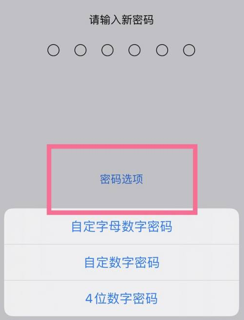 汝阳苹果14维修分享iPhone 14plus设置密码的方法 