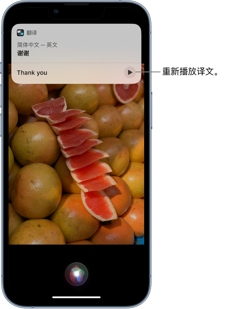 汝阳苹果14维修分享 iPhone 14 机型中使用 Siri：了解 Siri 能帮你做什么 