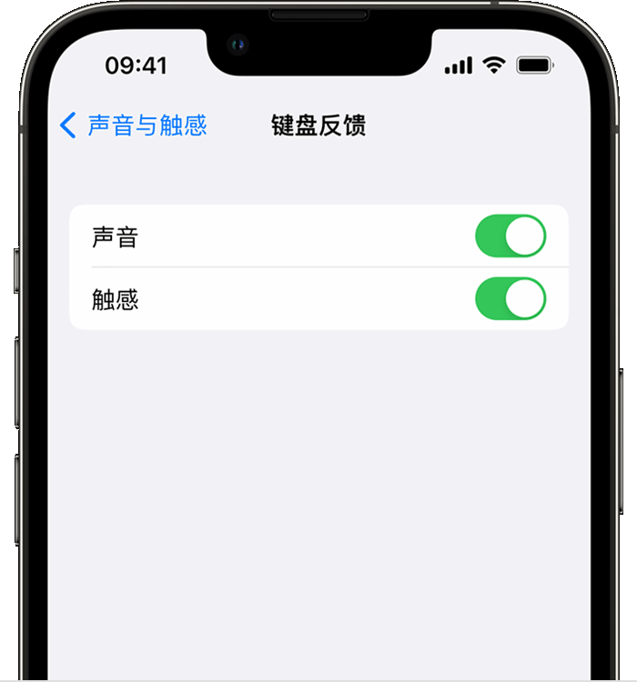 汝阳苹果14维修分享iPhone 14 系列机型如何开启键盘声音或触感反馈 