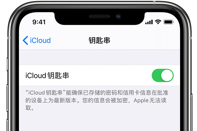 汝阳苹果手机维修分享在 iPhone 上开启 iCloud 钥匙串之后会储存哪些信息 