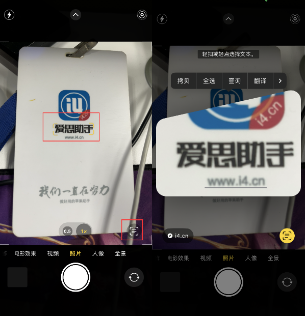 汝阳苹果手机维修分享升级iOS 16后如何通过相机翻译文本 