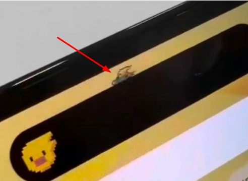 汝阳苹果14维修分享iPhone 14 Pro Max灵动岛怎么养宠物 