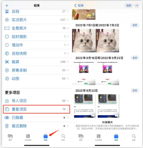 汝阳苹果手机维修分享iOS 16 中相册重复项目功能使用方法 