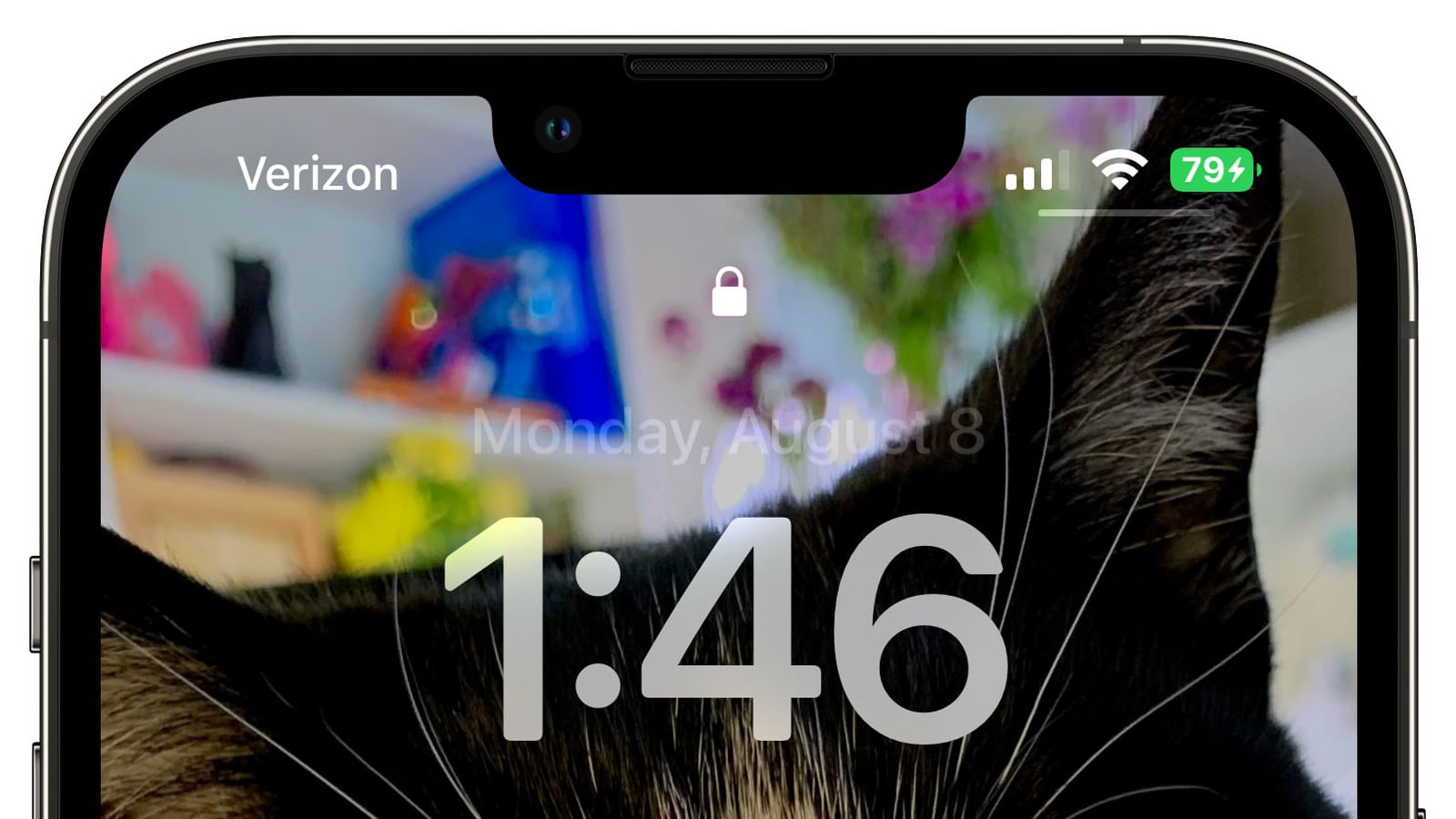 汝阳苹果手机维修分享iOS 16 beta 5 支持状态栏显示电池百分比，如何开启？支持哪些机型 