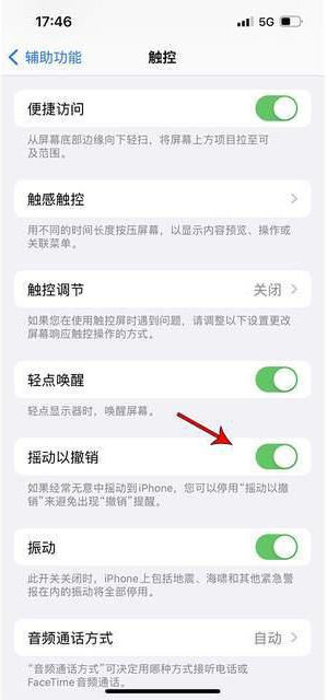汝阳苹果手机维修分享iPhone手机如何设置摇一摇删除文字 