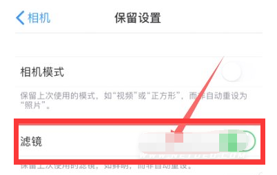 汝阳苹果13维修分享iPhone13拍照有绿点是怎么回事 