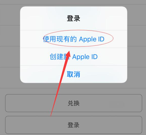 汝阳苹果手机维修分享两台iPhone设备可以同时登录一个Apple ID吗 