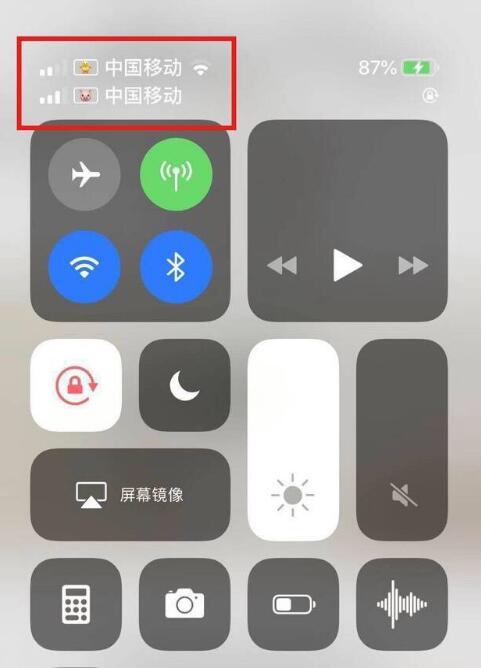 汝阳苹果手机维修分享为 iPhone 12 双卡设置标签 